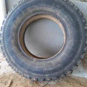 Zil tigir
