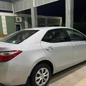 Toyota Corolla 2013