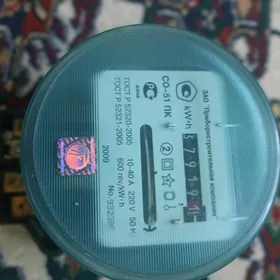 elektrik cotcigi