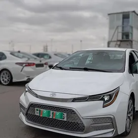 Toyota Corolla 2020