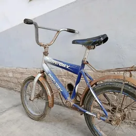 Brawer