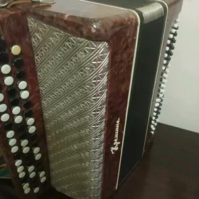 баян