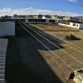 sygyr towuk juyje ferma ферма