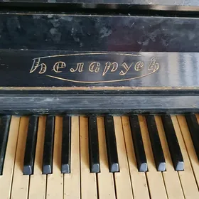 pionina