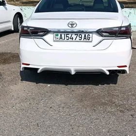 stopnik plafon kamri