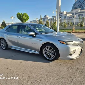 Toyota Camry 2019