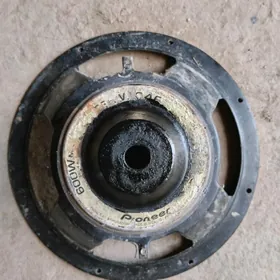 Pioneer 600W Kaloňka