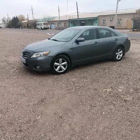 Toyota Camry 2010