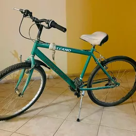 Turkmenistan tigir