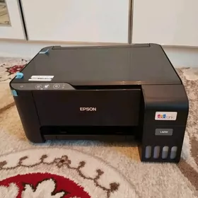 Printer Epson 3210