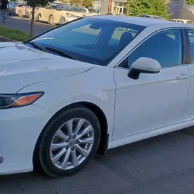 Toyota Camry 2020