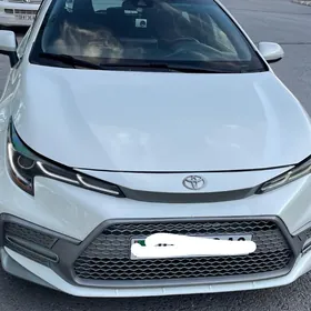 Toyota Corolla 2019