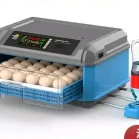 инкубатор inkubator