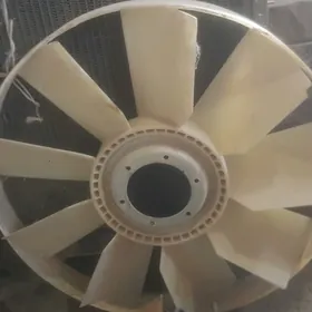lopus 6520