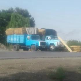 Gamyş. (Kamyş)
