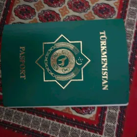 Pasport tapdym