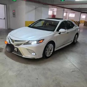 Toyota Camry 2019