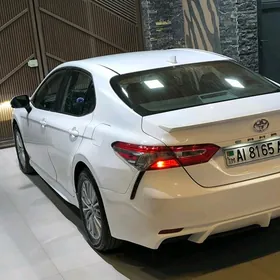 Toyota Camry 2019