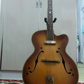ЭЛЕКТРО-АКУСТИЧЕСКАЯ GITARA
