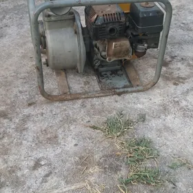 nasos 80 lik
