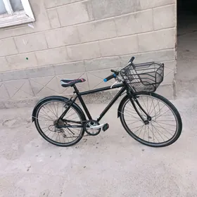 Tigir Yapon 26