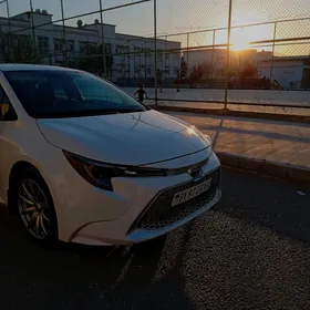 Toyota Corolla 2020