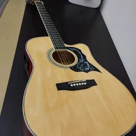 ELEKTRO AKUSTIKA GITARA KOMPLE