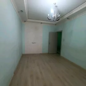 Büzmeýin Tomatny 2 komnat