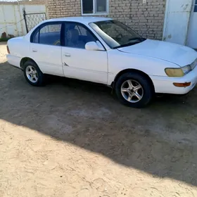Toyota Corolla 1995