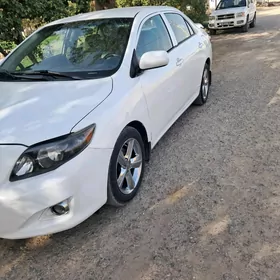 Toyota Corolla 2010