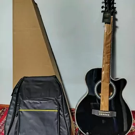 CEHOL + GITARA 