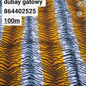 gatowy