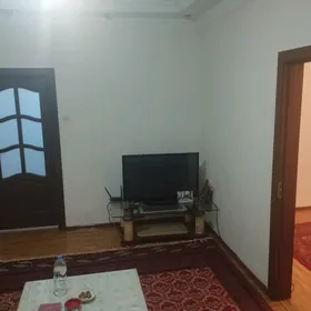 Şatlyk Elitka