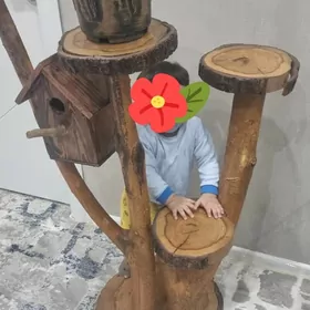 gul goymak ucin