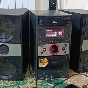 LG Muzynal centr fleşka, AUX