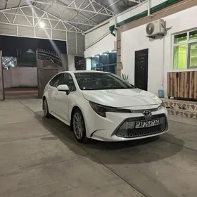 Toyota Corolla 2021