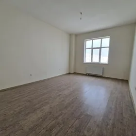 Satlyk polu elitga