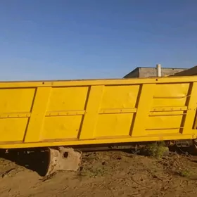 kuzwa