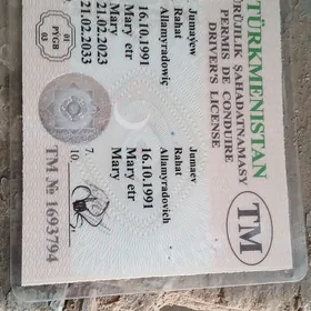 Prawa