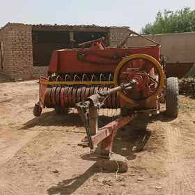kip etyan gyrgyz