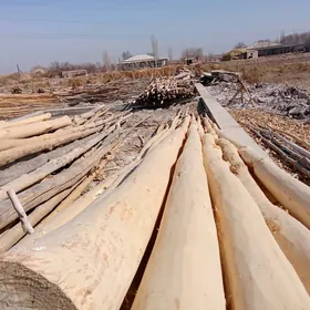 agaç agac агач carhow strepile