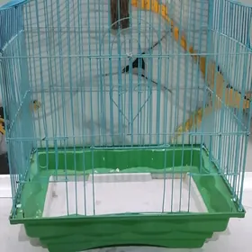 клетка
