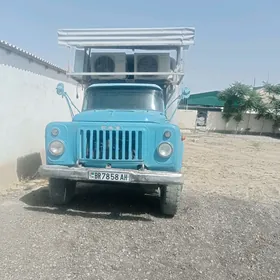 Holadinnik sowadijiy