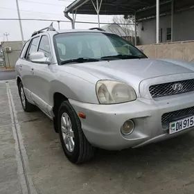 Hyundai Santa Fe 2002