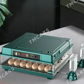inkubator