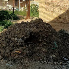 Sygyr-Ders..(.1.Zil çykýa.)