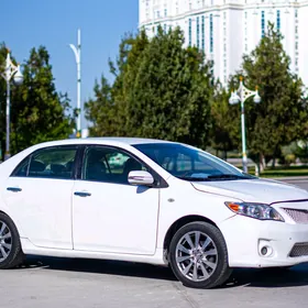 Toyota Corolla 2010