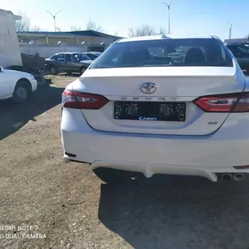 Toyota Camry 2019
