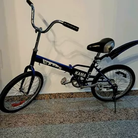 Kama tigir