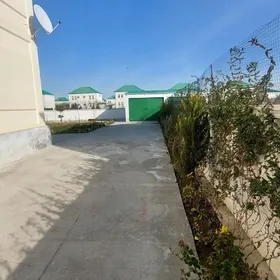 Arenda Çoganly kateź